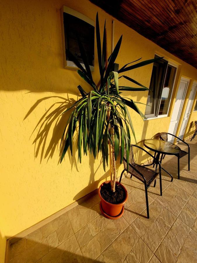 Cabana Varad Coronini Moldova Veche Exterior foto